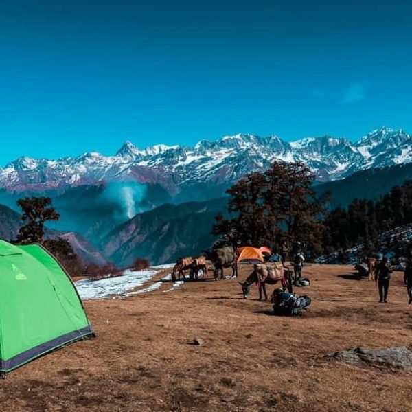 Dayara Bugyal Trek 05 Nights 6 Days